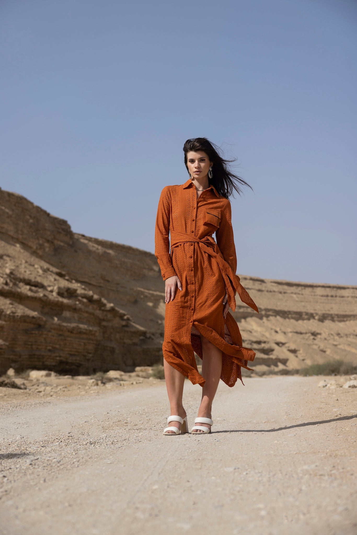 Carla Shirt Dress