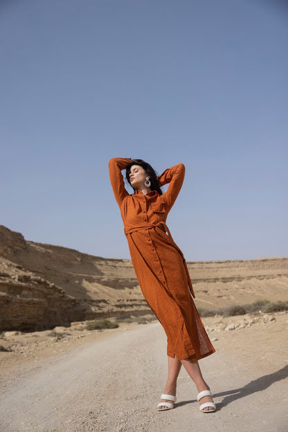 Carla Shirt Dress