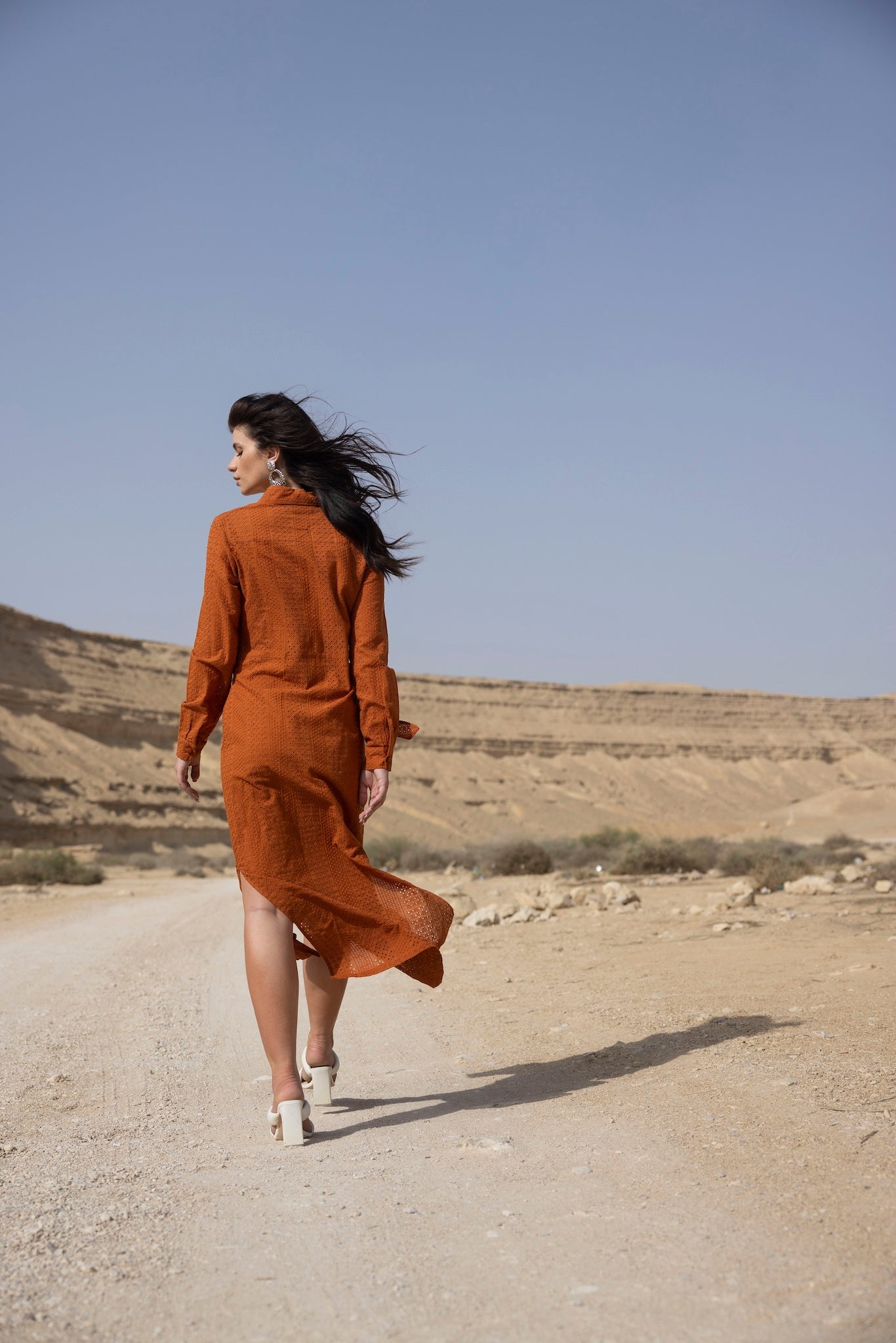 Carla Shirt Dress